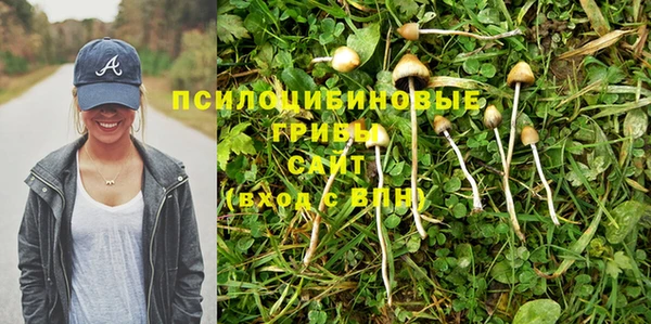 кокс Семилуки