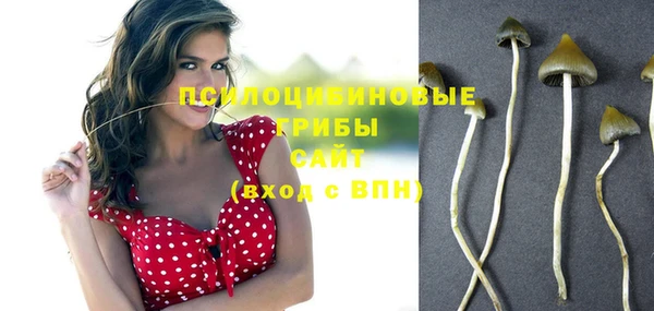 стафф Семикаракорск