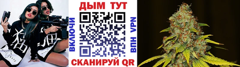 Купить закладки  Трёхгорный  Канабис ГИДРОПОН 